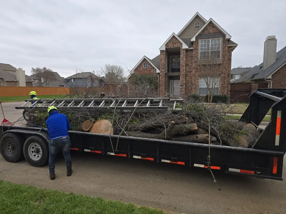 Expert Tree Fertilization with proper safety equipment in Sherrill